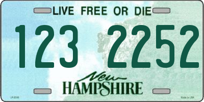 NH license plate 1232252