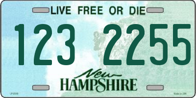NH license plate 1232255