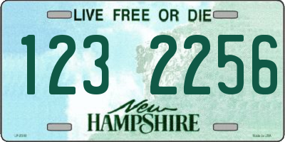 NH license plate 1232256