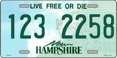 NH license plate 1232258