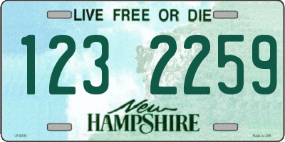 NH license plate 1232259