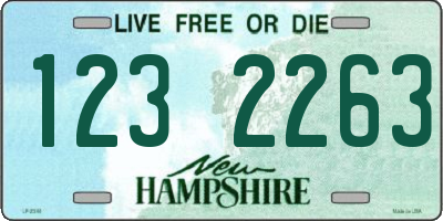 NH license plate 1232263