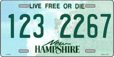 NH license plate 1232267