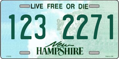 NH license plate 1232271