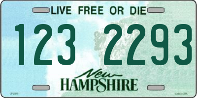 NH license plate 1232293
