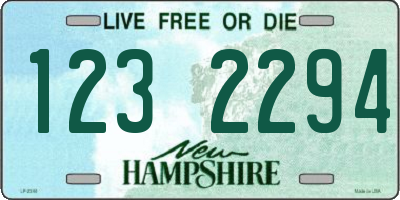 NH license plate 1232294
