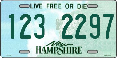 NH license plate 1232297