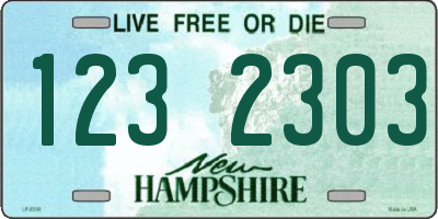 NH license plate 1232303