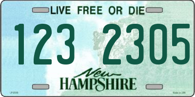 NH license plate 1232305