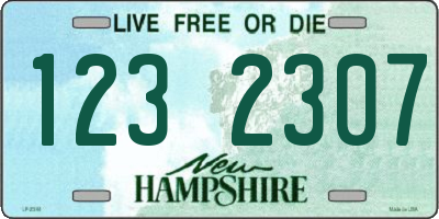NH license plate 1232307