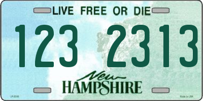 NH license plate 1232313