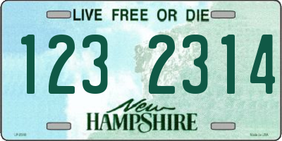NH license plate 1232314