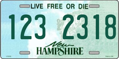 NH license plate 1232318