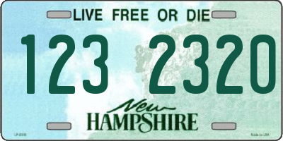 NH license plate 1232320