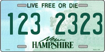 NH license plate 1232323