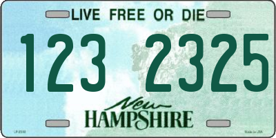 NH license plate 1232325