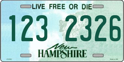 NH license plate 1232326