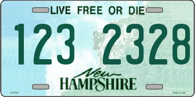 NH license plate 1232328