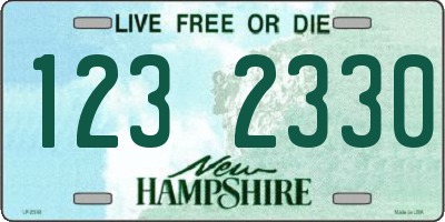 NH license plate 1232330