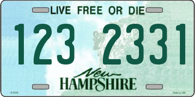 NH license plate 1232331
