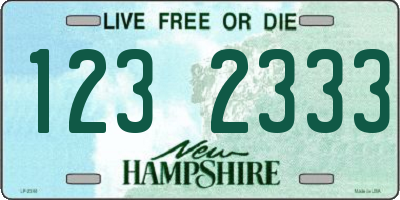 NH license plate 1232333