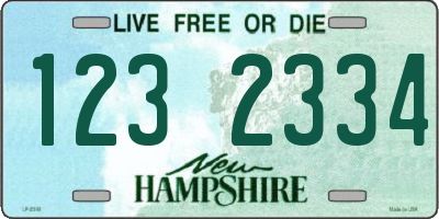 NH license plate 1232334
