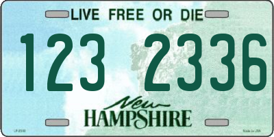 NH license plate 1232336