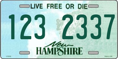 NH license plate 1232337