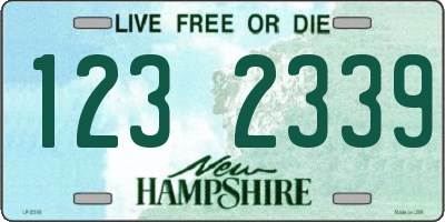 NH license plate 1232339