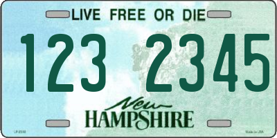 NH license plate 1232345