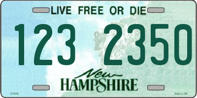 NH license plate 1232350