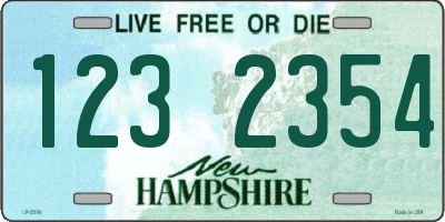 NH license plate 1232354