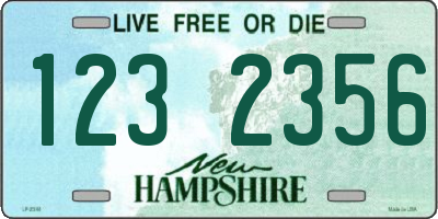 NH license plate 1232356