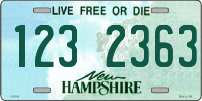NH license plate 1232363
