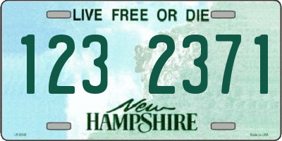NH license plate 1232371