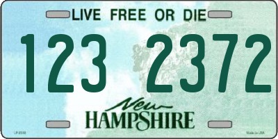 NH license plate 1232372