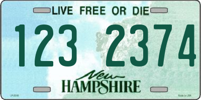 NH license plate 1232374