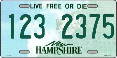 NH license plate 1232375