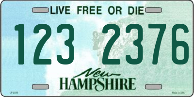 NH license plate 1232376