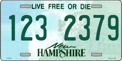NH license plate 1232379