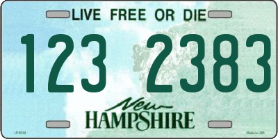 NH license plate 1232383