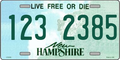NH license plate 1232385