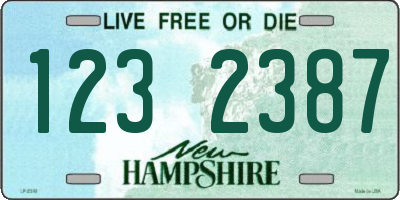 NH license plate 1232387