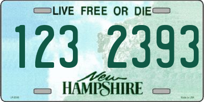 NH license plate 1232393