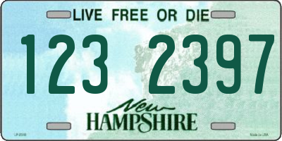 NH license plate 1232397