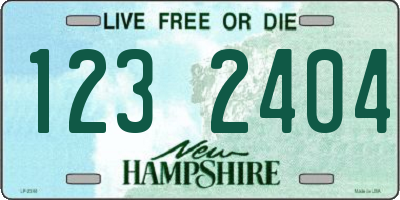 NH license plate 1232404