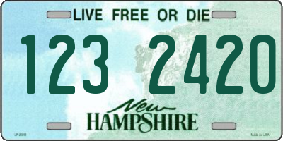 NH license plate 1232420