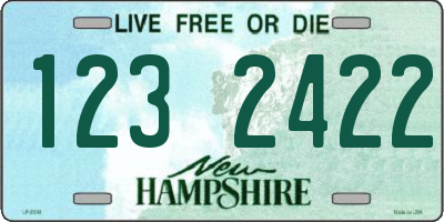 NH license plate 1232422
