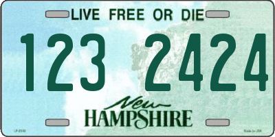 NH license plate 1232424