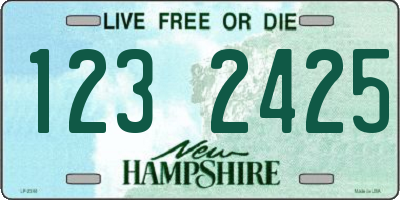 NH license plate 1232425